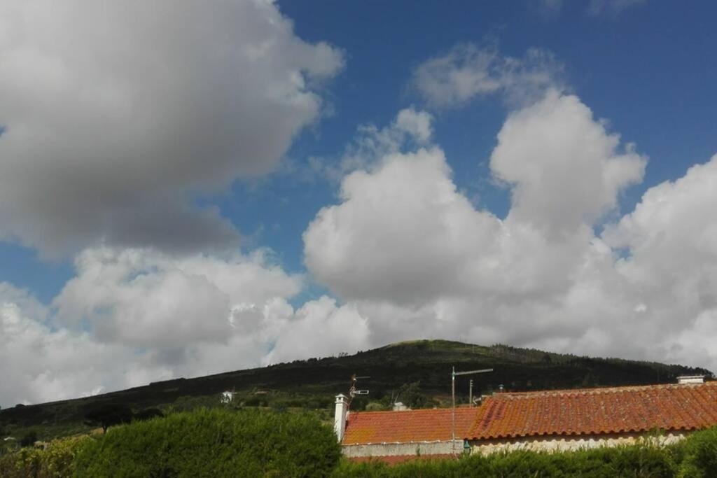 Villa - Torres Vedras, Lisbon Country Side Almeirinhos de Baixo Exterior photo